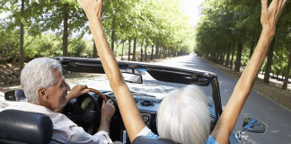 Snowbirds | I-4 Exit Guide