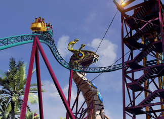 cobras-curse-busch-gardens-tampa | I-4 Exit Guide