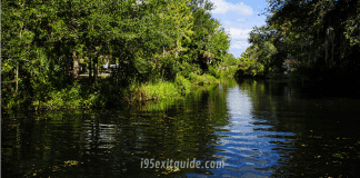 Homosassa Springs Wildlife Park | I-4 Exit Guide