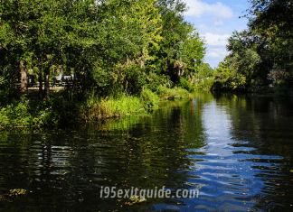 Homosassa Springs Wildlife Park | I-4 Exit Guide