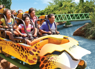 Busch Gardens Tampa | I-4 Exit Guide