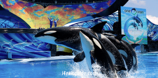 Seaworld Orlando - One Ocean | I-4 Exit Guide