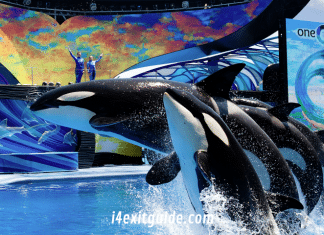 Seaworld Orlando - One Ocean | I-4 Exit Guide