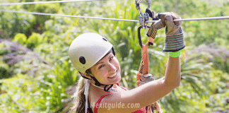 Zip On Tampa Bay | I-4 Exit Guide