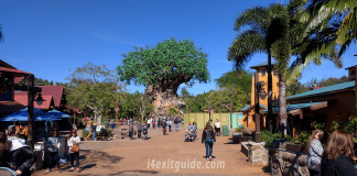 Disney's Animal Kingdom | I-4 Exit Guide