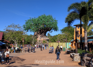 Disney's Animal Kingdom | I-4 Exit Guide