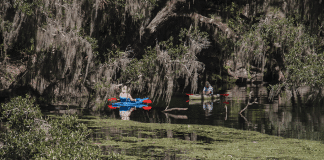 Blue Springs State Park | I-4 Exit Guide