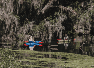 West Volusia’s Wildlife and Parks: The Best of Florida’s Great Outdoors Blue Springs State Park | I-4 Exit Guide
