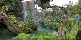 Disneyworld - Pandora - World of Avatar
