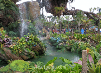 Disneyworld - Pandora - World of Avatar