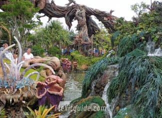 Pandora - The World of Avatar at Disney's Animal Kingdom