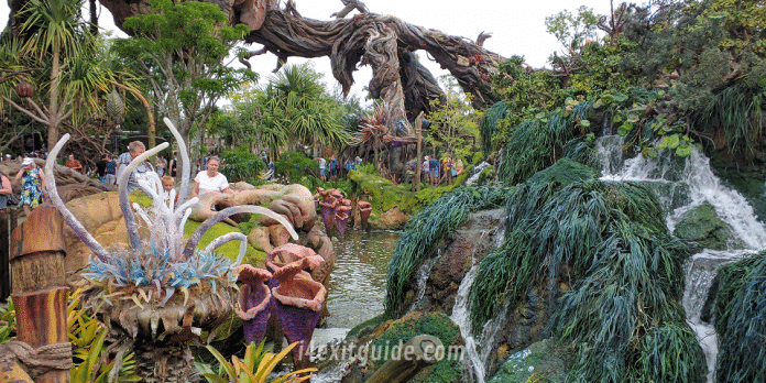 Pandora - The World of Avatar at Disney's Animal Kingdom Pandora - The World of Avatar at Disney's Animal Kingdom