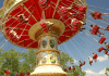 Silver Dollar City | RoadGuides.com