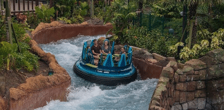 Seaworld's Infinity Falls | I-4 Exit Guide