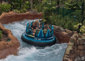 Seaworld's Infinity Falls | I-4 Exit Guide