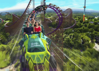 Busch Gardens - Tampa Bay, Florida | I-4 Exit Guide