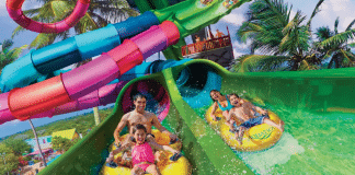 Seaworld Riptide Race | I-4 Exit Guide