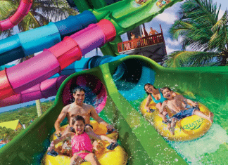 Seaworld Riptide Race | I-4 Exit Guide