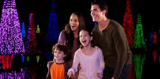 Seaworld Orlando Christmas | I-4 Exit Guide
