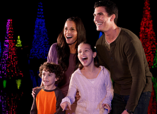 Seaworld Orlando Christmas | I-4 Exit Guide