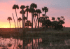 Lake Woodruff National Wildlife Refuge | I-4 Exit Guide