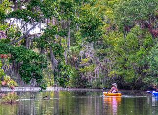 Daytona Beach Outdoors | I-4 Exit Guide