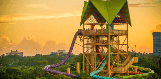 Aquatica Orlando | I-4 Exit Guide