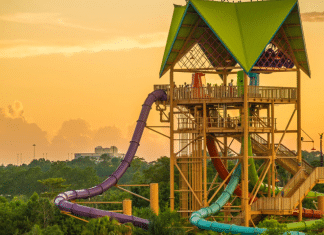 Aquatica Orlando | I-4 Exit Guide