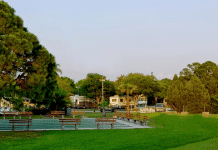 dunedin-rv-resort-–-dunedin,-fl