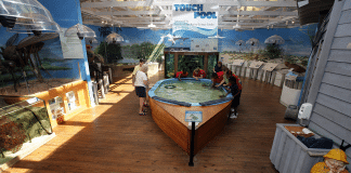 Daytona Beach, Florida | I-4 Exit Guide