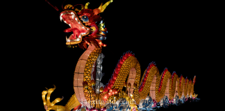 Asian Lantern Festival | I-4 Exit Guide