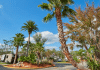 tropical-palms-rv-resort-–-kissimmee,-fl