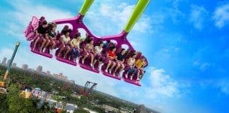 Serengeti Flyer Busch Gardens Tampa Bay | I-4 Exit Guide