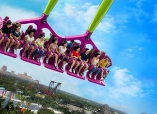 Serengeti Flyer Busch Gardens Tampa Bay | I-4 Exit Guide