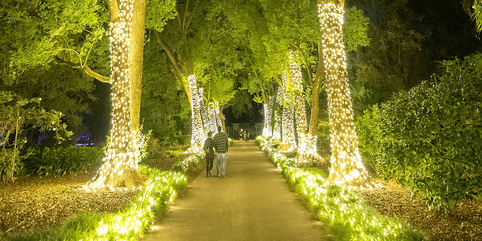 Leu Gardens - Orlando | I-4 Exit Guide