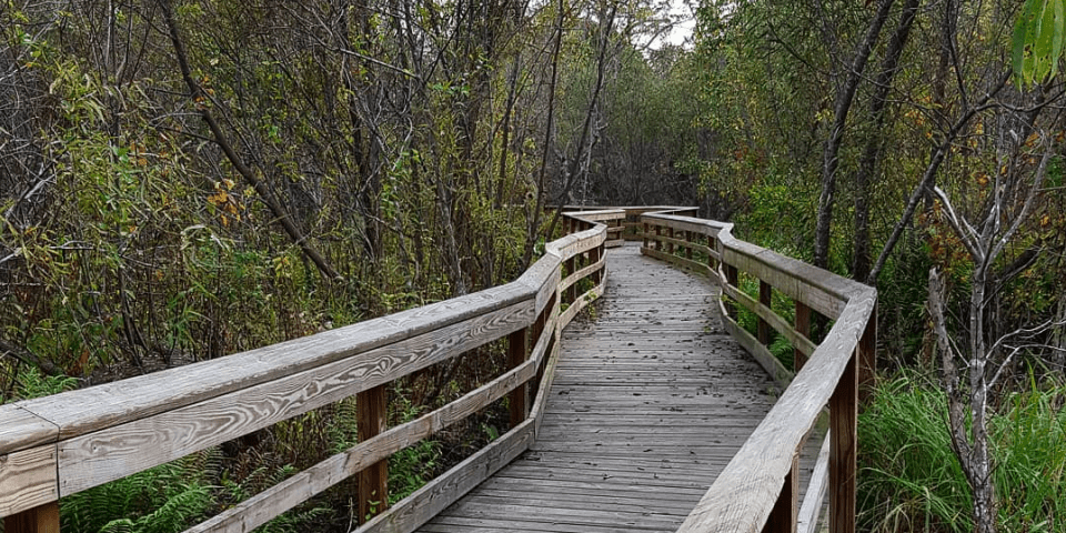 Mead Botanical Garden | Orlando, Florida | I-4 Exit Guide