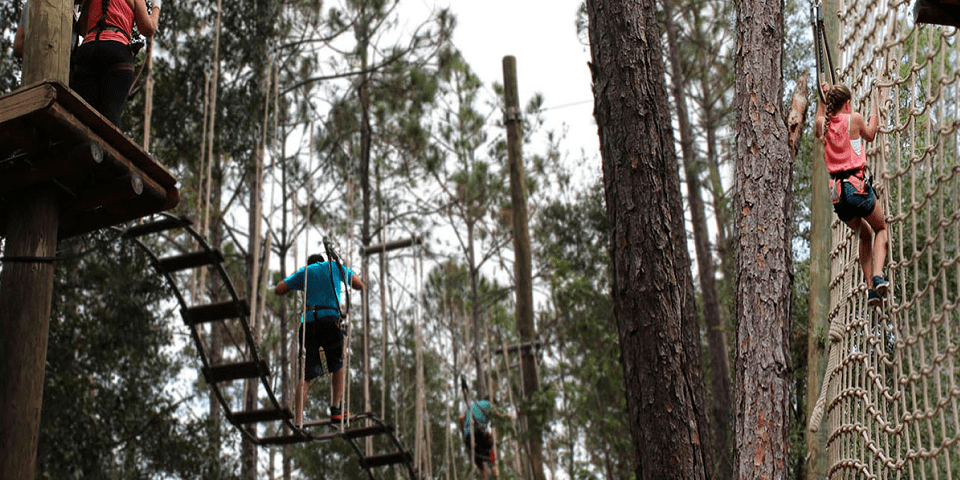 Orlando Tree Trek Adventure Park | I-4 Exit Guide