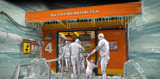 Seaworld Orlando - Penguin Trek | I-4 Exit Guide