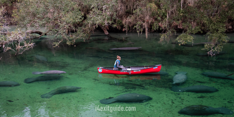 DeLand, Florida 7 Blue Springs State Park in Deland, Florida | I-4 Exit Guide