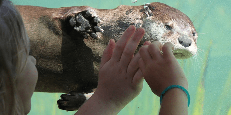 Central Florida Zoo & Botanical Gardens | I-4 Exit Guide