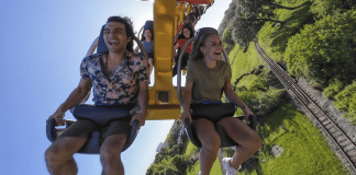 Busch Gardens Tampa Bay | I-4 Exit Guide