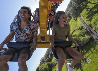 Busch Gardens Tampa Bay | I-4 Exit Guide