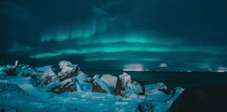 SeaWorld Orlando - Artic Flying Theater | I-4 Exit Guide