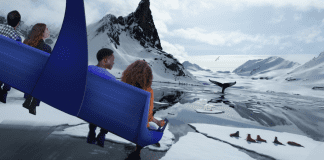 SeaWorld Expedition Odyssey | I-4 Exit Guide