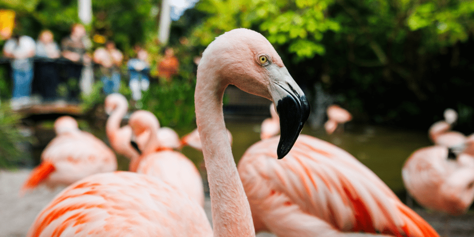 Sunken Gardens | I-4 Exit Guide