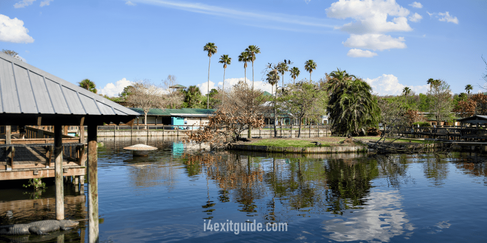 Gatorland - Orlando, Florida | I-4 Exit Guide