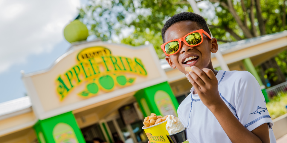Legoland Florida - Winter Haven, Florida | I-4 Exit Guide